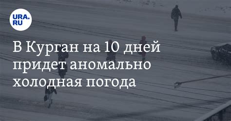 погода курган 10 дней